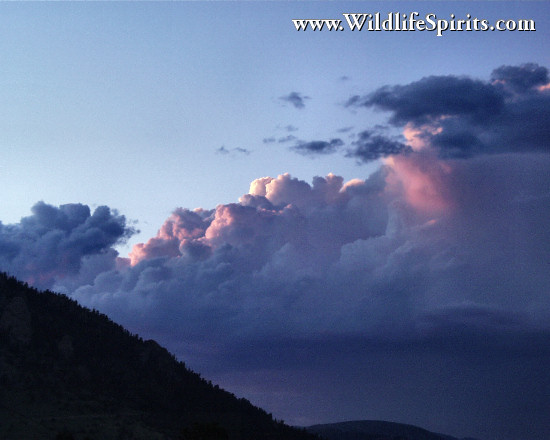 Click Picture to send as an  E-PostCard 55k 550x440